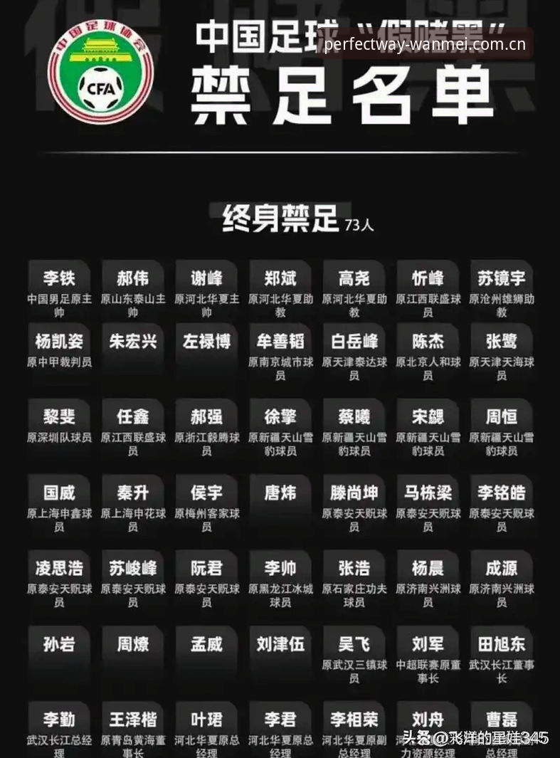 完美体育预测平台 完美体育用户教程:足协第三批禁足名单深度解读与赛事分析指南
